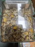 WEYES凍干4拼混合肉碎桶500g寵物貓狗零食凍干雞肉雞胸肉鴨肉粒營(yíng)養 曬單實(shí)拍圖