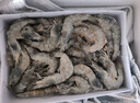 鮮京采 原裝進(jìn)口厄瓜多爾白蝦 凈重3.3斤 大號30-40規格 50-66只/盒 曬單實(shí)拍圖