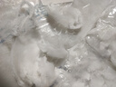 水槽過濾網(wǎng)彈力袋口廚房洗菜盆一次性漏網(wǎng)水池下水道洗碗池防堵塞 【200只 加厚款】一次性過濾網(wǎng) 曬單實拍圖