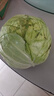 高原夏菜新鮮包菜卷心菜綠甘南菜甘藍圓白菜時(shí)令蔬菜健康營(yíng)養早餐 5-6斤農家好菜 曬單實(shí)拍圖