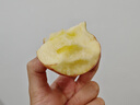 洛川蘋(píng)果陜西延安特產(chǎn)紅富士時(shí)令蘋(píng)果水果禮盒送蘋(píng)果生鮮新鮮脆甜整箱批發(fā) 5斤75-80mm（凈重4.5斤）中果 曬單實(shí)拍圖