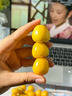 【順豐】東北姑娘果特產(chǎn)燈籠果5斤黃菇?jīng)鲂〗鸲贡∑す螟B(niǎo)整箱現摘3 【精選裝】1斤 曬單實(shí)拍圖