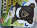 亮麗精美觸摸書(shū)—小熊波比 0-2歲幼兒?jiǎn)⒚煞抡嬗|摸書(shū) 樂(lè )樂(lè )趣童書(shū)低幼認知繪本  課外書(shū) 曬單實(shí)拍圖