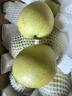 京覓安徽碭山青梨 凈重4.5斤 單果230g+ 6-9個(gè) 青皮皇冠梨 源頭直發(fā) 曬單實(shí)拍圖