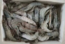 賣(mài)魚(yú)郎先生 王牌鹽凍大蝦原裝進(jìn)口 去冰凈蝦3斤 45-60只 厄瓜多爾白蝦 曬單實(shí)拍圖