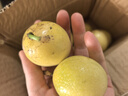 廣西欽蜜9號黃金百香果萬(wàn)澄當季新鮮大果黃皮果奶茶店水果 【1斤 約11-17個(gè)】單果30-45g 曬單實(shí)拍圖