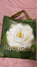 babycare山茶花嬰兒隔尿墊一次性新生兒防水透氣護理墊M碼38片 曬單實(shí)拍圖