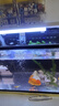 長(cháng)銳魚(yú)缸燈led水草燈防水 14瓦【適用魚(yú)缸48-60cm】Q-50 三色可變光 曬單實(shí)拍圖