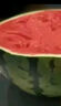 【產(chǎn)地直采】麒麟奶油西瓜 約4.5kg 曬單實(shí)拍圖