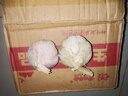 【營(yíng)田半畝】蒜干蒜頭蒜大蒜紫白皮大蒜當季蔬菜0.5-5斤 2斤帶箱重【果徑4.5-5cm】大果 曬單實(shí)拍圖
