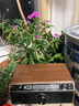 UKYK柏林之聲藍(lán)牙音響家用客廳環(huán)繞音箱高音超重低音炮木制復(fù)古收音機(jī) 胡桃木PLUS 曬單實(shí)拍圖