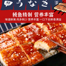 靈略 蒲燒鰻魚(yú) 日式烤鰻魚(yú)凈重1斤/包 2條裝 海鮮預制菜肴 加熱即食 曬單實(shí)拍圖