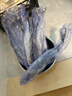 賣魚(yú)七郎 青島海捕大鲅魚(yú)整條凈重5-5.6斤（5-8條）馬鮫魚(yú)海鮮生鮮魚(yú)類 曬單實(shí)拍圖