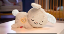費雪（Fisher-Price）生日禮物兒童嬰兒玩具安撫玩偶哄睡-費雪音樂(lè )安撫小兔子JCC12 曬單實(shí)拍圖