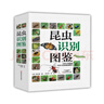 昆蟲(chóng)識別圖鑒 曬單實(shí)拍圖