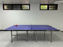 雙魚(yú)（DOUBLE FISH） 乒乓球桌標準可移動(dòng)折疊式乒乓球臺室內家用訓練比賽乒乓球案子 520 15MM家用訓練 曬單實(shí)拍圖