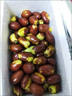顏曼箐山東沾化冬棗 新鮮水果當季棗子脆甜特大冰糖紅棗 1500g 現摘   精選品質(zhì)：【大果】個(gè)頭大更脆甜 曬單實(shí)拍圖