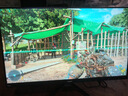 泰坦軍團26.5英寸 原廠(chǎng)QD-OLED屏 2K 原生240Hz 專(zhuān)業(yè)電競調校 10bit 防燒屏技術(shù) 帶背光燈效 顯示器 G27W8S 曬單實(shí)拍圖