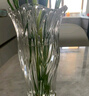 墨斗魚(yú)輕奢玻璃花瓶大口徑透明花瓶擺件郁金香富貴竹培容器客廳生日禮物 曬單實(shí)拍圖