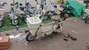 臺鈴電動(dòng)車(chē)【門(mén)店自提】大果粒電動(dòng)自行車(chē)新國標可上牌電瓶車(chē)成人代步 請到店選購顏色 曬單實(shí)拍圖