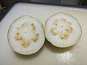 京鮮生樹熟軟糯奶油芭樂 凈重4.5斤裝單果150g+ 番石榴 中秋禮品 曬單實(shí)拍圖