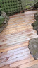 簡(jiǎn)研樟子松防腐木板材戶(hù)外木地板露臺木方立柱吊頂實(shí)木圓柱原木木條 2.3厘米*8.4厘米*4米 曬單實(shí)拍圖