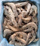 百年漁港白蝦大蝦 無(wú)冰凈重 2kg 白對蝦  加大號白蝦4斤 80-100只 曬單實(shí)拍圖