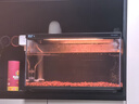 當貝智能生態(tài)魚(yú)缸1Ultra 一體缸自循環(huán)雙過(guò)濾AI托養懶人家用桌面魚(yú)缸 曬單實(shí)拍圖