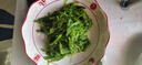 Yihai 億海裙帶菜酸甜味230g*5袋 大連產(chǎn)低脂海藻沙拉海白菜2.3斤 曬單實(shí)拍圖