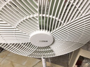 美的（Midea）【幸運草安睡風(fēng)扇Plus】電風(fēng)扇落地扇立式家用臥室變頻輕音小風(fēng)扇遙控一級能效空氣循環(huán)扇 SDI35MQ 曬單實(shí)拍圖