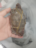 舟山梭子蟹鮮活特大野生大螃蟹新鮮冷凍海鮮水產(chǎn)海蟹飛蟹白蟹順豐 3-5兩/只【3斤 當季船供】 曬單實(shí)拍圖