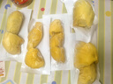 貓山頌泰國A級金枕榴蓮凍肉液氮鎖鮮無(wú)殼純肉順豐包郵生鮮冷凍 泰國金枕冷凍榴蓮肉1000g*1袋 曬單實(shí)拍圖