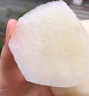 山姆大叔 山東萊陽(yáng)秋月梨【閃送-多地次日達】豐水梨子水果禮盒中秋送禮品 【羊脂級-稀缺巨無(wú)霸】單果500g+｜純甜多汁 【送禮佳品】臻選 6枚 高檔禮盒裝 曬單實(shí)拍圖