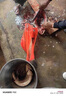 春季釣魚(yú)小藥高濃度大麥紅薯膏黑坑鯉魚(yú)鯽魚(yú)餌料用品通殺配方 曬單實(shí)拍圖