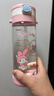 利其爾（Richell）三麗鷗聯(lián)名美樂(lè )蒂兒童水杯水壺吸管杯學(xué)飲杯喝水杯上學(xué)噸噸杯水瓶 美樂(lè )蒂吸管型透透杯 450ml 曬單實(shí)拍圖