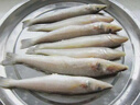 海捕沙丁魚(yú)深海水產(chǎn)沙尖海魚(yú)冰鮮深海魚(yú)小沙丁魚(yú)新鮮冷凍 4斤實(shí)惠裝沙丁魚(yú) 曬單實(shí)拍圖