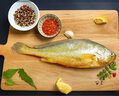 三都港 冷凍三去大黃魚(yú)凈重2斤/2條裝 寧德黃花魚(yú) 生鮮魚(yú)類(lèi) 中秋 曬單實(shí)拍圖