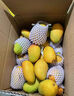 顧果鮮海南小臺芒9斤新鮮應(yīng)季當(dāng)季熱帶時令水果小臺農(nóng)芒果整箱甜心芒 5斤凈重4.5斤 【大果】 曬單實拍圖