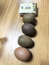 陽(yáng)光金果國產(chǎn)獼猴桃奇異果金桃彌泥猴桃新鮮水果生鮮大果孕婦當季 15枚50-70g 曬單實(shí)拍圖