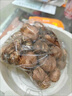 劍蘭種球唐菖蒲十三太保庭院陽(yáng)臺盆地栽多年生球根花卉綠植物盆栽 混色【劍蘭種球10顆】掌柜推薦 曬單實(shí)拍圖