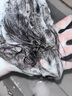 維特絲洗發(fā)水沐浴露套裝男女士持久留香72小時(shí)香體沐浴液控油保濕乳液 曬單實(shí)拍圖