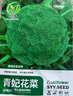 西蘭花種籽春秋季花椰菜蔬菜種孑耐寒綠菜花四季青花菜種陽(yáng)臺盆栽 包花菜種子原裝1包約400粒 曬單實(shí)拍圖