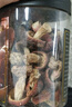 盛耳 紅菇100g 福建特產(chǎn) 山珍 南北干貨 蘑菇食用菌 煲湯食材 曬單實(shí)拍圖