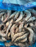 Member's Mark 泰國進(jìn)口 生冷凍黑虎蝦 2kg (約31-40只/每千克) 2kg(凈重) 曬單實(shí)拍圖