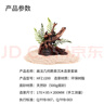 米家智能桌面魚(yú)缸小米生態(tài)魚(yú)缸+畫(huà)法增氧泵套裝 曬單實(shí)拍圖