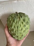 采緹（CAITI）現貨大目鳳梨釋迦果5斤 新鮮番荔枝佛頭果水果孕婦整箱 精選凈重一斤中果（2-3個(gè)） 曬單實(shí)拍圖