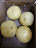 琪江果福建黃金葡萄柚 當季西柚黃肉小柚子新鮮水果整箱 黃金葡萄柚4.5-5斤4-6個(gè) 曬單實(shí)拍圖