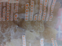 太古（taikoo）食糖 黃冰糖 1kg 烘焙原料 沖飲調味 百年品牌 曬單實(shí)拍圖