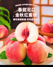 山姆伯伯金秋水蜜桃【JD順豐-閃送】紅蜜水蜜桃新鮮桃子水果禮盒物品 超甜 | 甄選級 12枚裝 單果4-5兩 【自吃推薦-鎖鮮裝】顆顆精品 曬單實(shí)拍圖