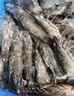 鮮京采 鮮凍大號黑虎蝦 去冰凈重2斤 31-40只/盒 斑節對蝦 曬單實(shí)拍圖